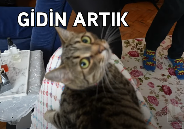 Ekran Görüntüsü 2021-06-29 23-27-34.png