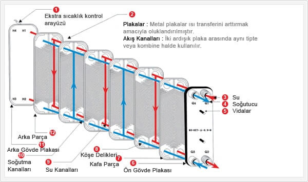 esanjorun_yapisi.jpg