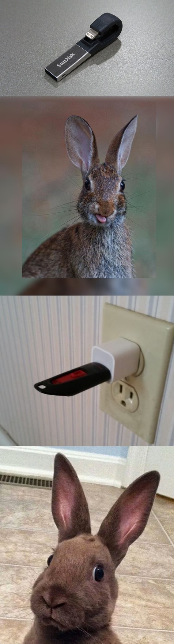 f.krtl1.jpg