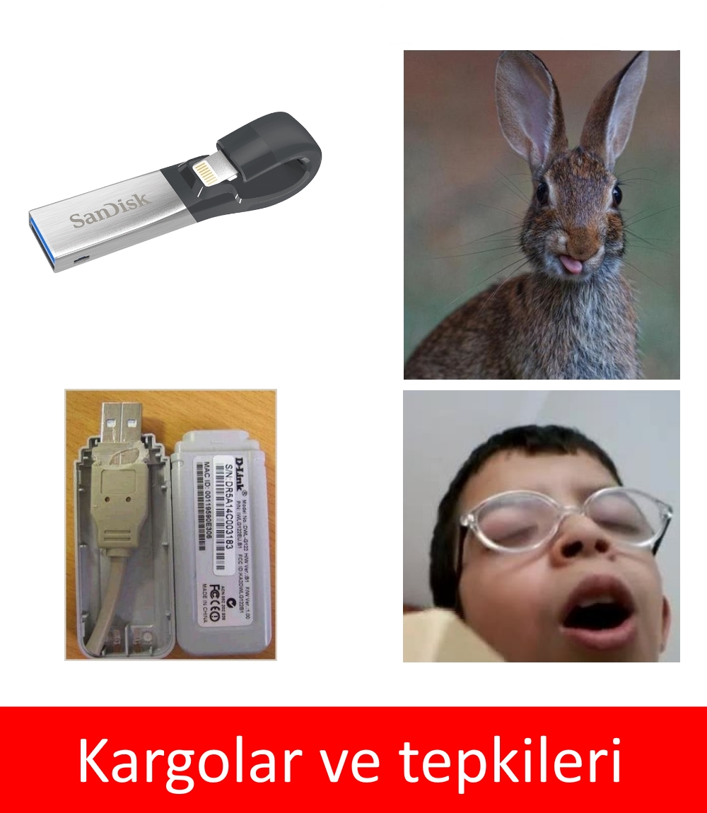 f.krtl1_2.jpg