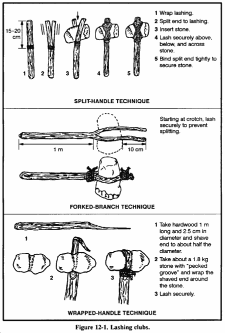 fig12-1.gif