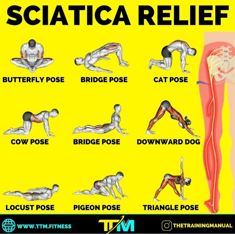 #fitness #gym #sciatica #physicaltherapy.jpg