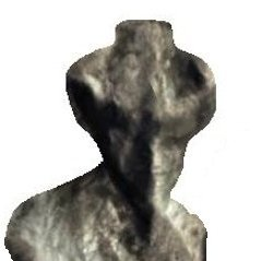 foto1.png