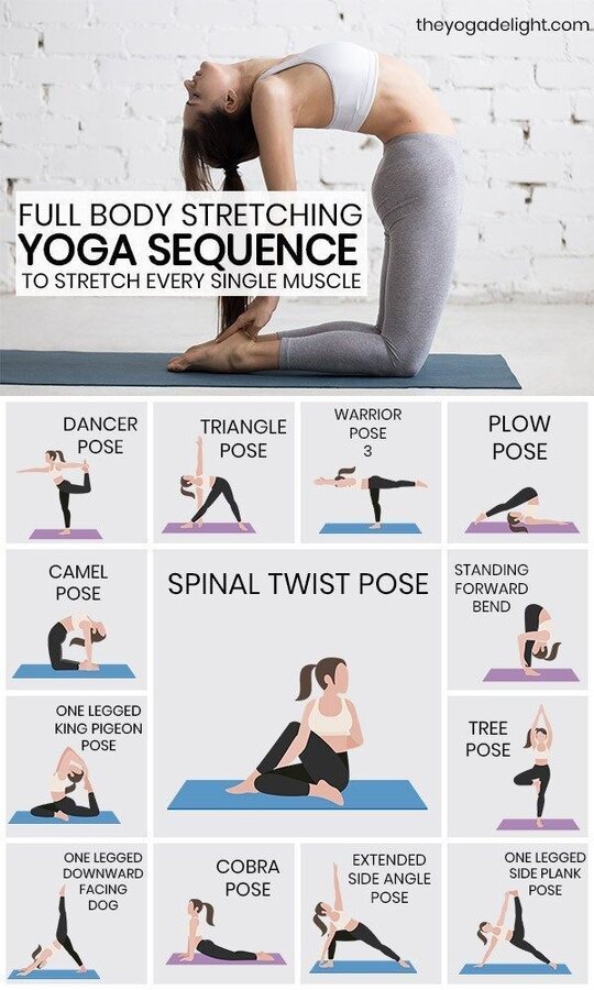Full Body Stretching Yoga Sequence To Stretch Every Muscle In Your Body - The Yoga Delight -  ...jpg