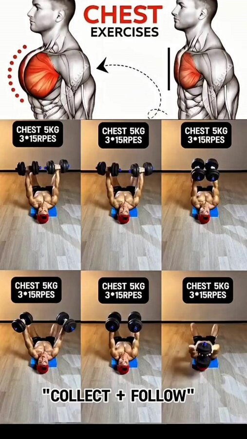 FULL BODY WORKOUT 🔥⏩ AT HOME #shorts #fullbodyworkout #homeworkout-001.jpg