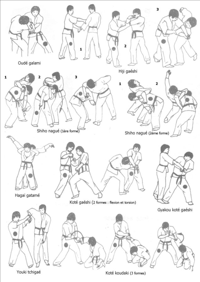 Gatame-waza-2.jpg