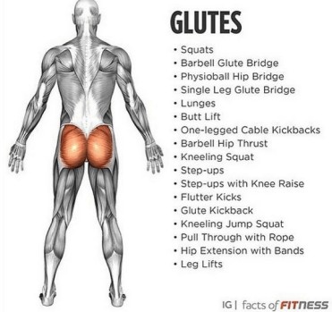 glute workouts.png
