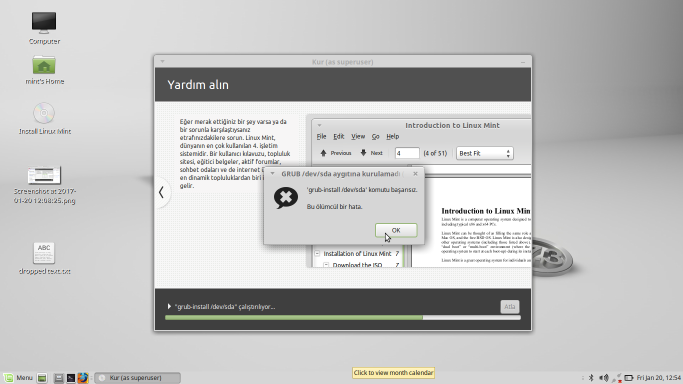 grub-önyükleyicisi hatası.png
