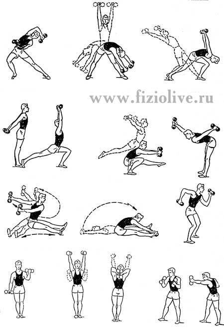 gymnastics_dumbbells_73.jpg