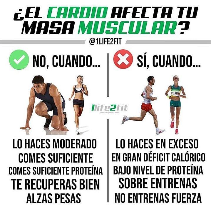H E A L T H Y C A R D I O💥 @1life2fit ⠀⠀⠀⠀⠀⠀⠀⠀⠀ ⠀⠀⠀⠀⠀⠀⠀⠀⠀ Aunque el cardio HIIT (High-Intensit...jpg