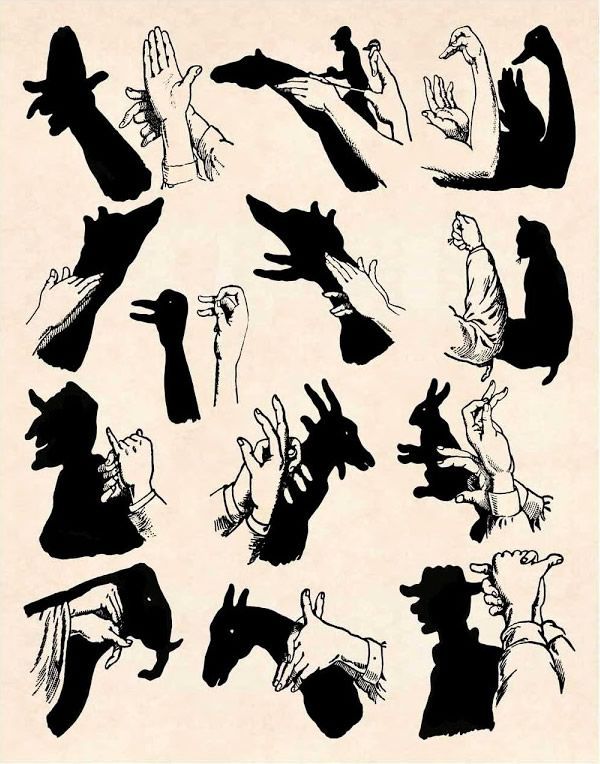 , hand-shadow-puppet , hand-shadow-puppet.jpg