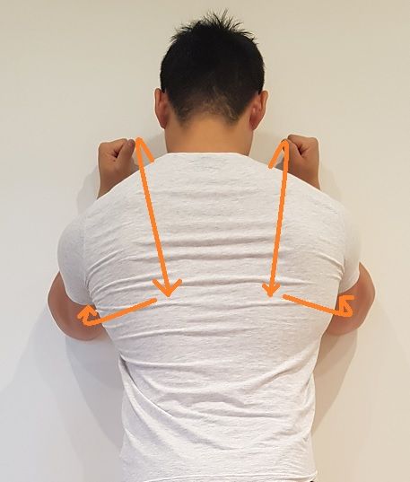 Here is a complete list of effective exercises to fix your winged scapula. Use the exact same ...jpg