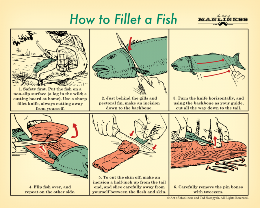 How to Filet a Fish Poster [PRINT ON DEMAND] _ The Art of Manliness Store.png