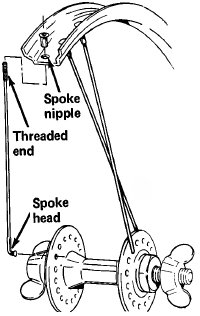 how-to-repair-a-bicycle-6.jpg