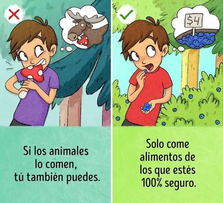 ilustraci_n muchacho comiendo frutos del bosque.jpg