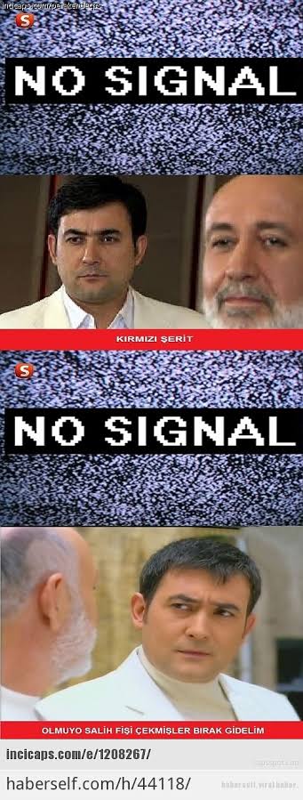 images (13).jpeg