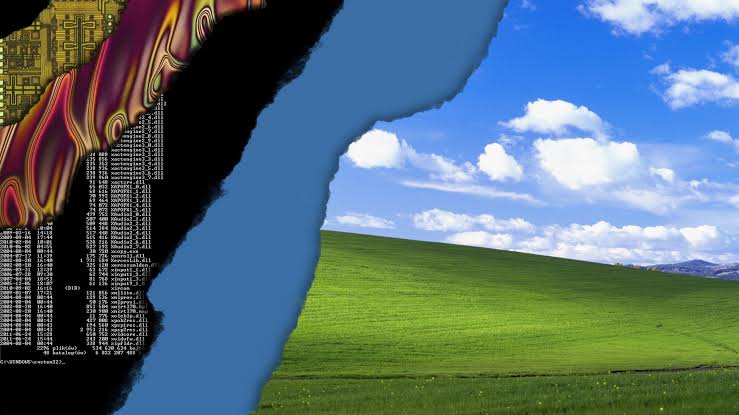 images-3.jpeg