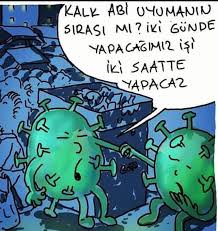 images.jpg