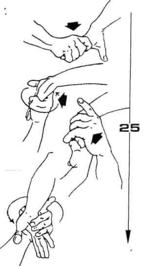 img165.jpg