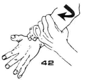 img175.jpg