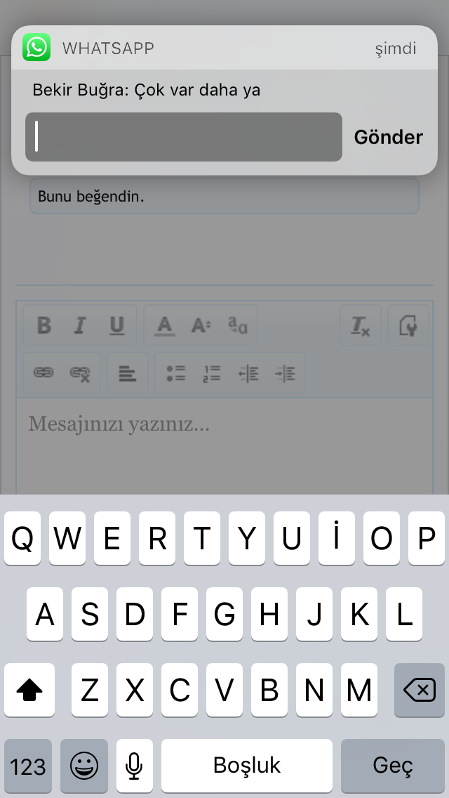 IMG_0337.PNG