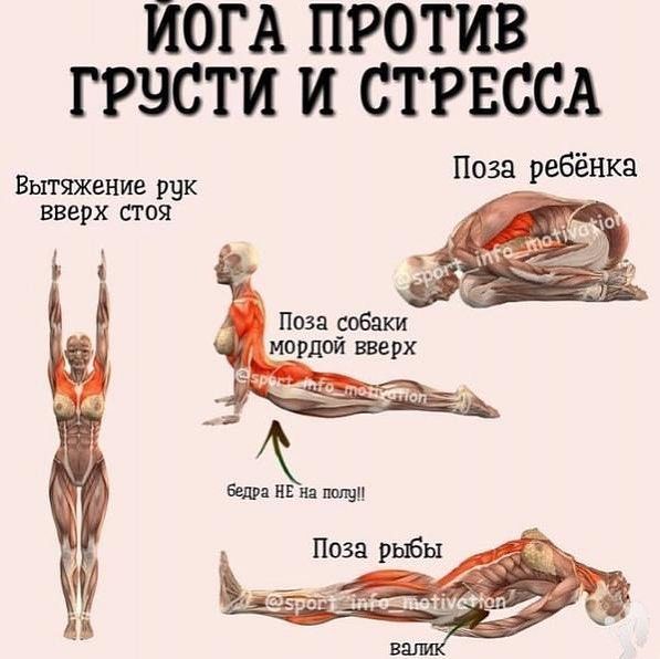 ЙОГА.jpg