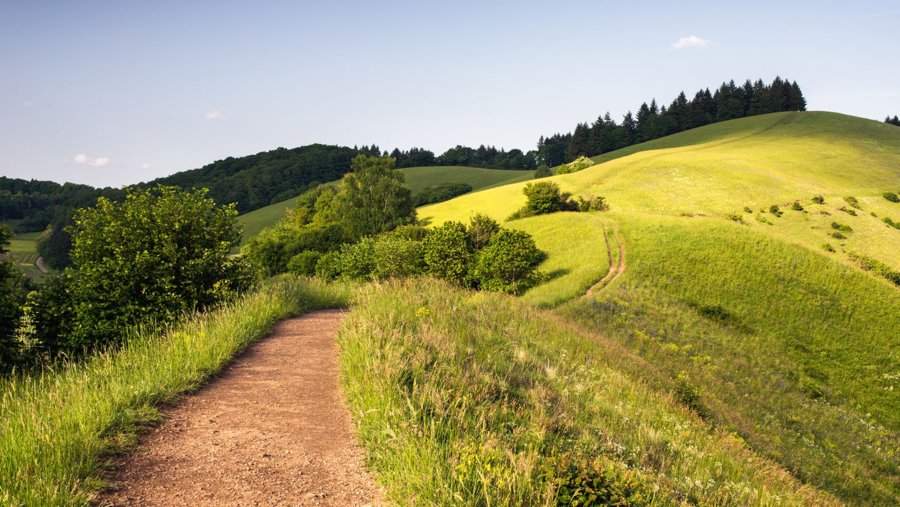 Kaiserstuhl.jpg