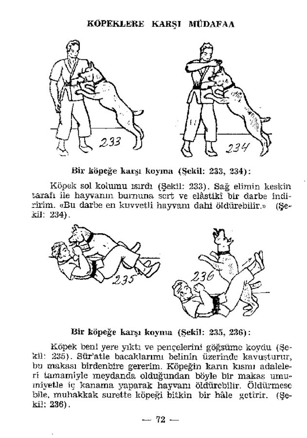 Kendi_Kendine_jiu-jitsu_page81_image73.jpg