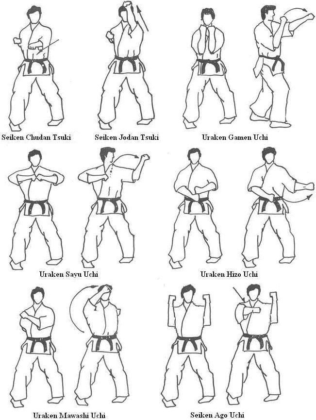 Kihon Geiko - Kyokushinkai - Wikipedia, la enciclopedia libre.jpg