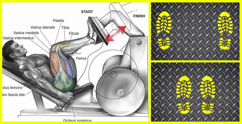 leg-press-foot-placement-variations.jpg