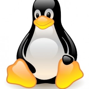 linux-300x300.jpg