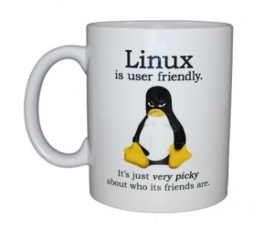 linux-is-user-friendly-mug.jpg