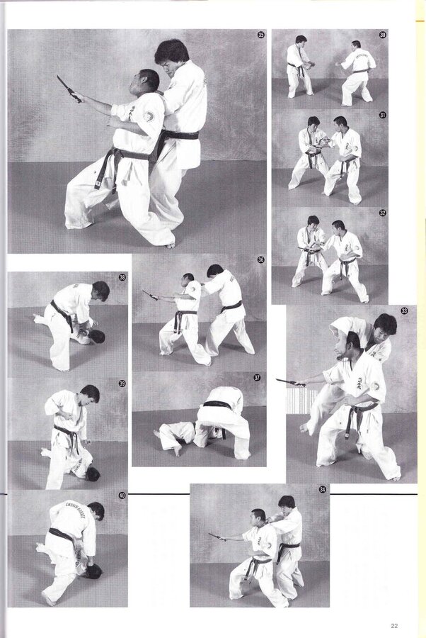 Media Articals_Enshin Techniques - Budo-Ra Vol 8 2007-067.jpg