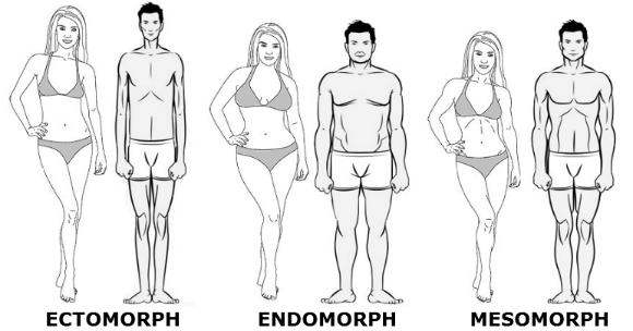 mesomorph1_orig.png