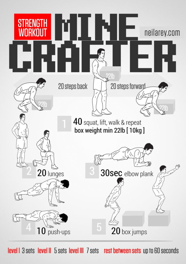 minecrafter-workout.jpg