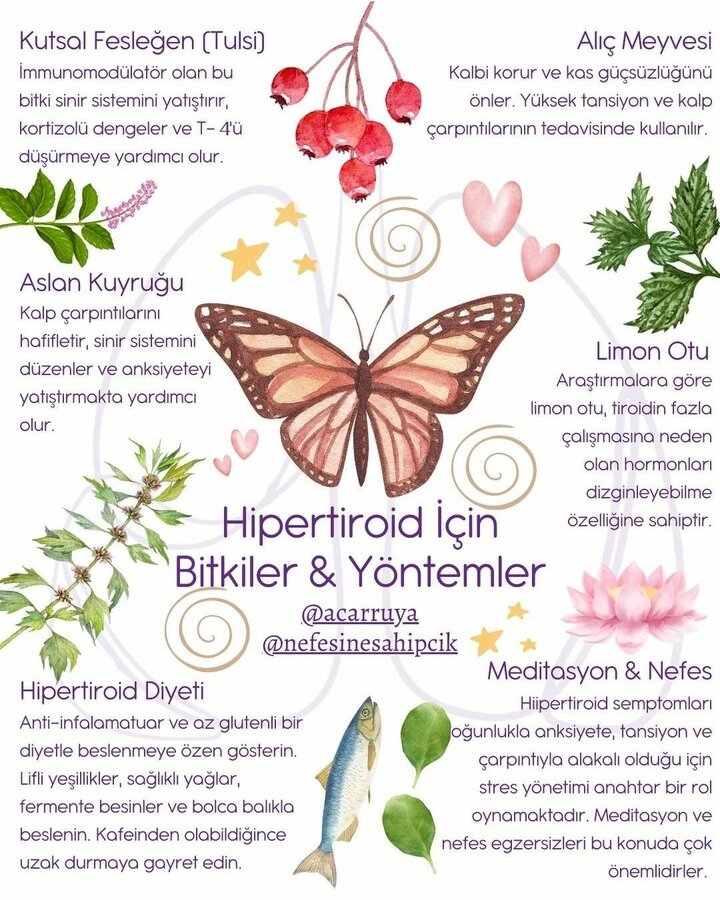 More about this Pin 2 Likes 2 Shares Board containing this Pin Sifa 77 Pins 2d Related interes...jpg