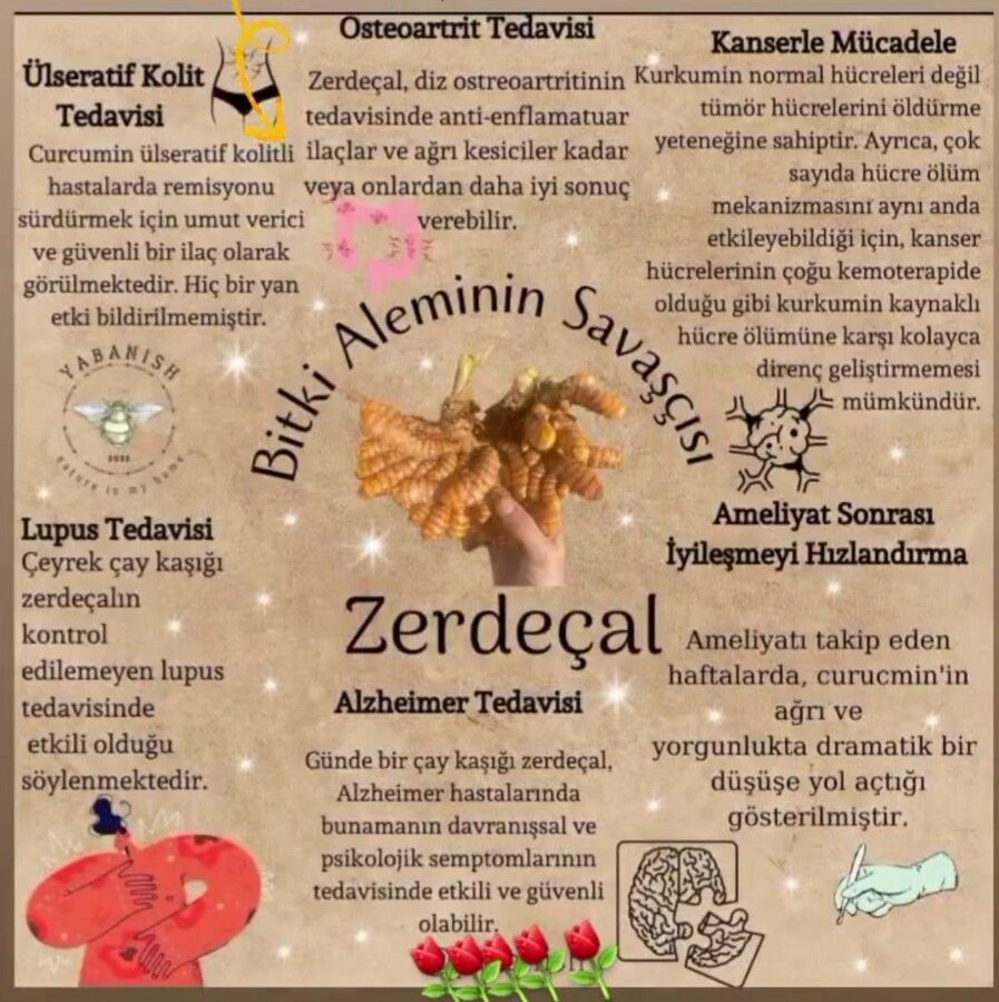 More about this Pin 2 Likes 3 Shares Board containing this Pin sağlık 321 Pins 11h Related int...jpg
