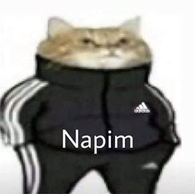 napim.jpg