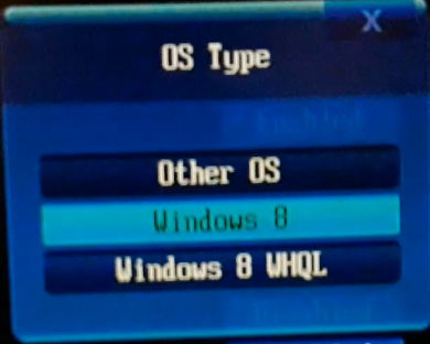 OS Type.PNG