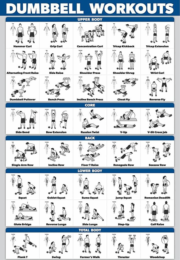 Palace Learning Poster d'exercice d'entraînement avec haltères – Guide de musculation libre Ta...jpg