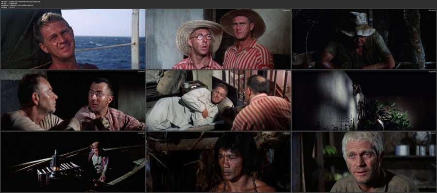 Papillon.1973.720p.BRRip.MkvCage.FardaDL.jpg