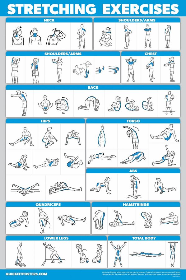 QUICKFIT Stretching Workout Exercise Poster - Stretch Routine (Laminated, 18 x 27 ).jpg