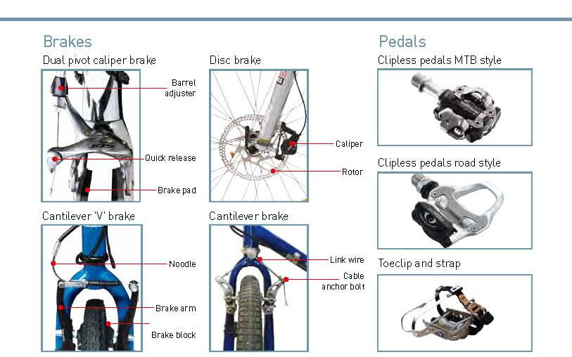 ride-on-apr12-anatomy-2.jpg