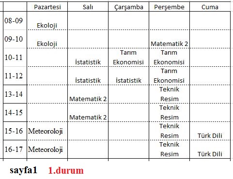 sayfa1-durum1.JPG