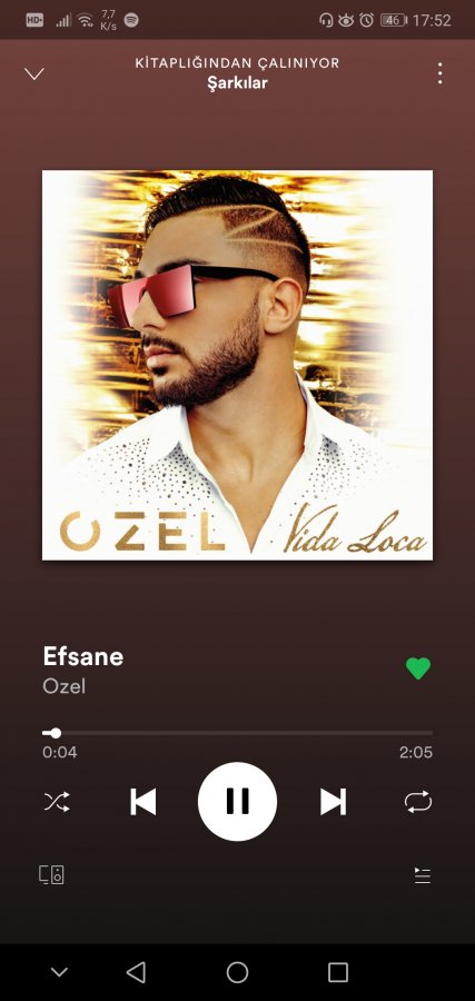 Screenshot_20200430_175228_com.spotify.music.jpg