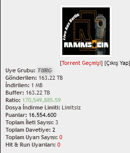 Screenshot_2021-05-05 TurkTorrent.png