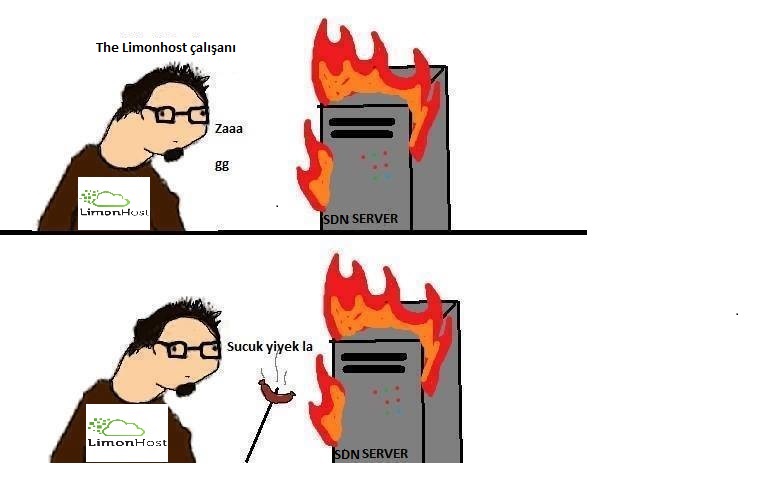 sdn1.jpg