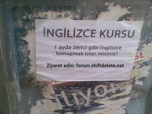 sdnorum.jpg