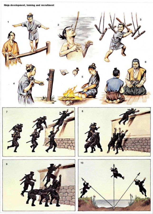 Stages of Ninja Training (Ninjutsu).jpg