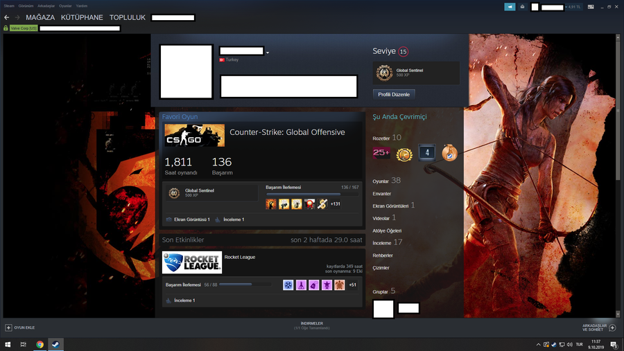 steam profil.png